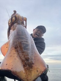 WILDCHASE 3.5号/ 斑黒龍/RED GLOW搭載[特注:EGI MANIACS]