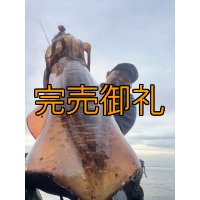 WILDCHASE 3.0号/ 斑黒龍/RED GLOW搭載[特注:EGI MANIACS]