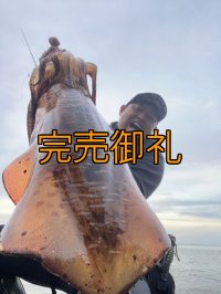 WILDCHASE 3.0号/ 斑黒龍/RED GLOW搭載[特注:EGI MANIACS]