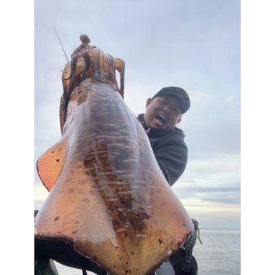 画像4: WILDCHASE 3.5号/ 斑黒龍/RED GLOW搭載[特注:EGI MANIACS]