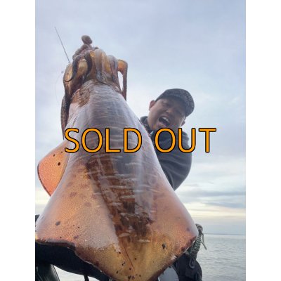 画像1: WILDCHASE 3.5号/ 斑黒龍/RED GLOW搭載[特注:EGI MANIACS]