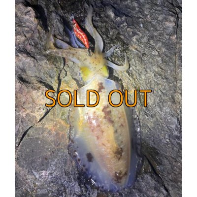 画像10: WILDCHASE 3.5号 / 斑赤龍/RED GLOW搭載[特注:EGI MANIACS]