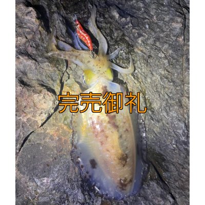 画像3: WILDCHASE 3.5号シャローtune / 斑赤龍/RED GLOW搭載[特注:EGI MANIACS]