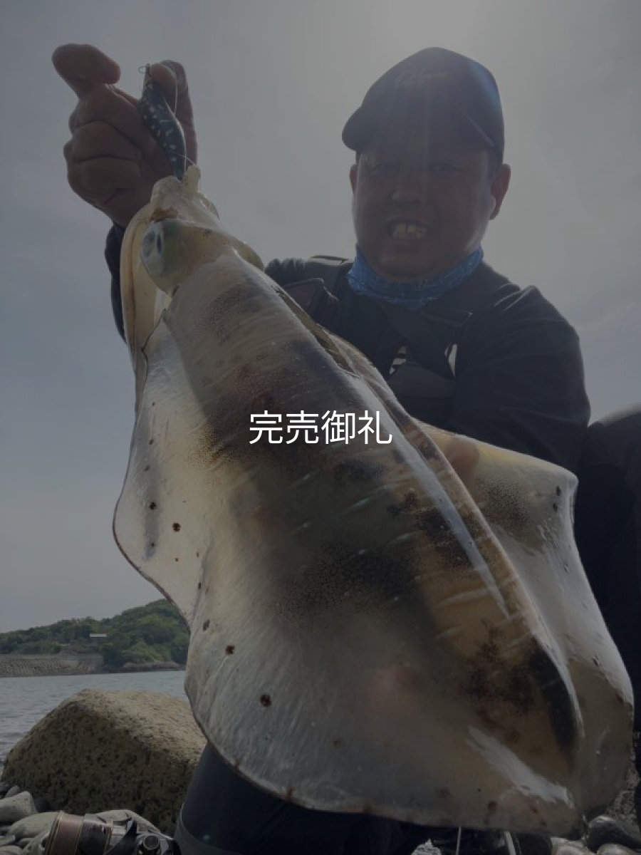 画像4: WILDCHASE 3.0号/ 斑黒龍/RED GLOW搭載[特注:EGI MANIACS] (4)
