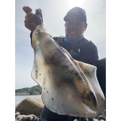 画像8: WILDCHASE 3.5号/ 斑黒龍/RED GLOW搭載[特注:EGI MANIACS]