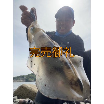 画像4: WILDCHASE 3.0号/ 斑黒龍/RED GLOW搭載[特注:EGI MANIACS]