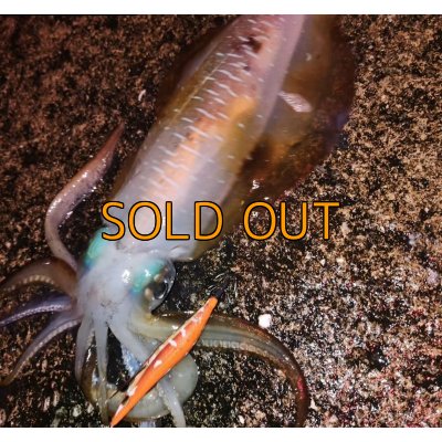 画像11: WILDCHASE 3.5号 / 斑赤龍/RED GLOW搭載[特注:EGI MANIACS]