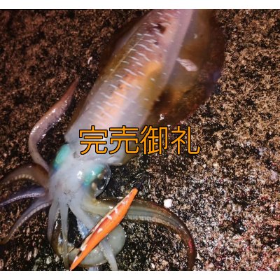 画像4: WILDCHASE 3.5号シャローtune / 斑赤龍/RED GLOW搭載[特注:EGI MANIACS]