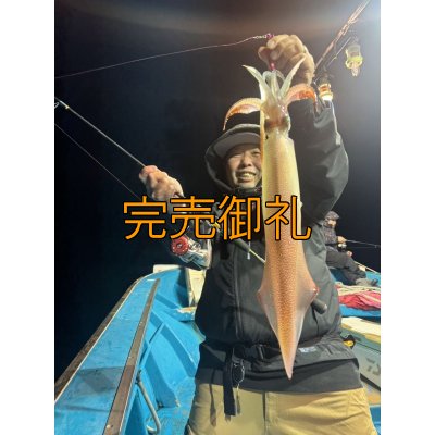 画像2: WILDCHASE 2.5号イカメタル＆オモリグ特化/BONE series[特注:EGI MANIACS] 
