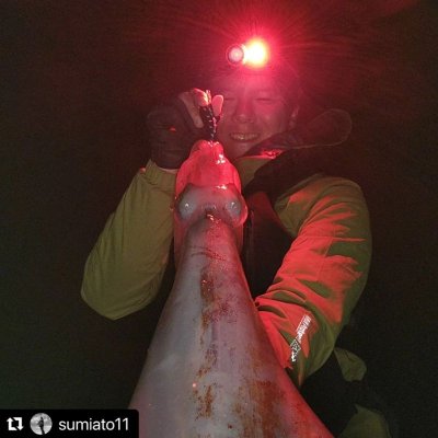 画像6: WILDCHASE 3.5号/ 斑黒龍/RED GLOW搭載[特注:EGI MANIACS]