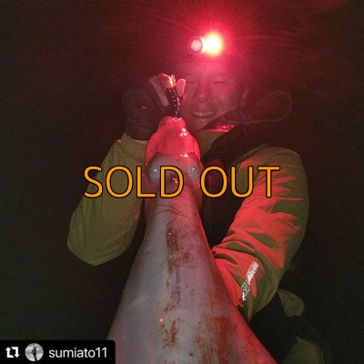 画像7: WILDCHASE 3.5号/ 斑黒龍/RED GLOW搭載[特注:EGI MANIACS]