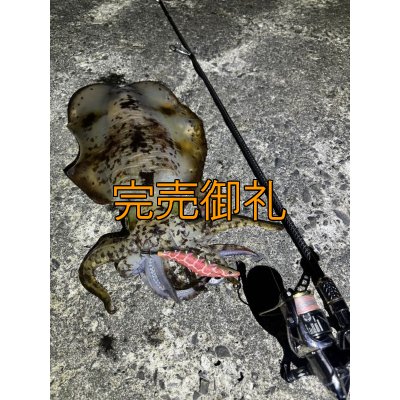 画像6: 『魅黒』ZERO-G EVOLUTION GVX 800 村正-改 ロッドベルト付き [別注EGI MANIACS]