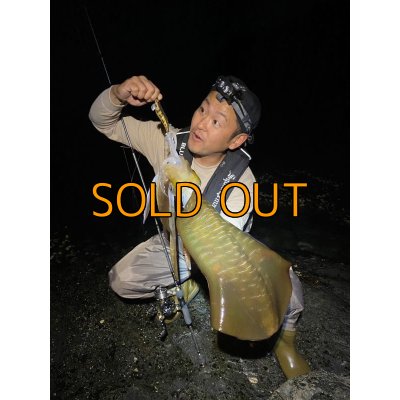 画像9: WILDCHASE 3.5号 /俺のGOLDパイソン/[特注:EGI MANIACS]