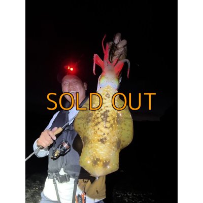 画像12: WILDCHASE 3.5号 /俺のGOLDパイソン/[特注:EGI MANIACS]