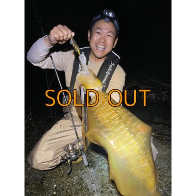 画像6: WILDCHASE 3.5号 /俺のGOLDパイソン/[特注:EGI MANIACS]