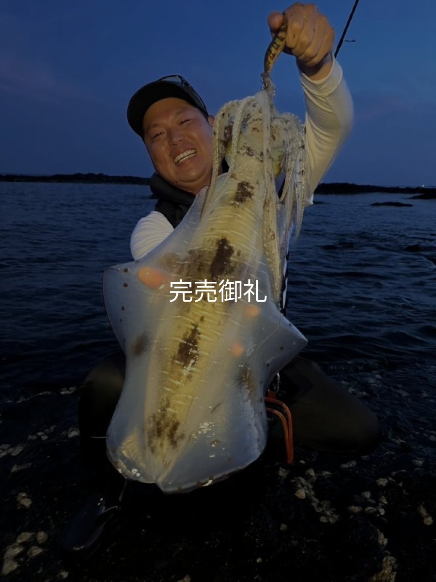 画像8: WILDCHASE 3.0号RTラトル /俺のGOLDパイソン/[特注:EGI MANIACS] (8)