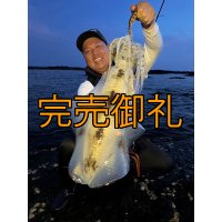 WILDCHASE 3.5号シャローtune /俺のGOLDパイソン/[特注:EGI MANIACS]