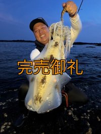 WILDCHASE 3.5号シャローtune /俺のGOLDパイソン/[特注:EGI MANIACS]