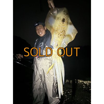 画像15: WILDCHASE 3.5号 /俺のGOLDパイソン/[特注:EGI MANIACS]