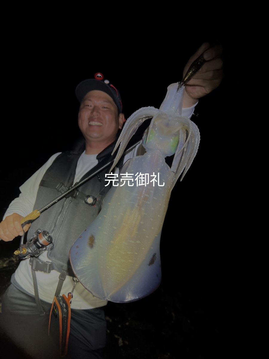 画像16: WILDCHASE 3.0号RTラトル /俺のGOLDパイソン/[特注:EGI MANIACS] (16)