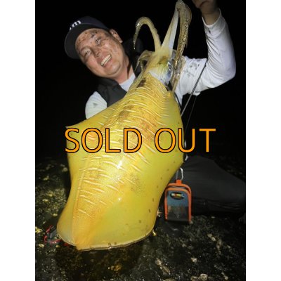 画像10: WILDCHASE 3.5号 /俺のGOLDパイソン/[特注:EGI MANIACS]