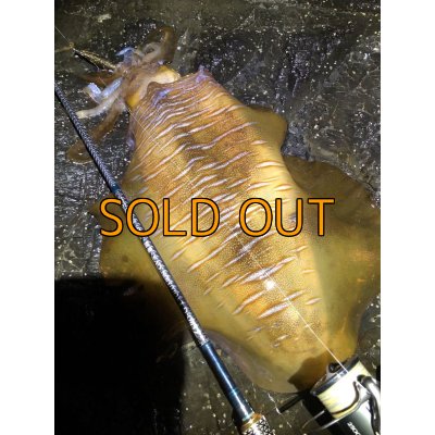 画像19: WILDCHASE 3.5号 /俺のGOLDパイソン/[特注:EGI MANIACS]