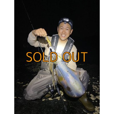 画像14: WILDCHASE 3.5号 /俺のGOLDパイソン/[特注:EGI MANIACS]