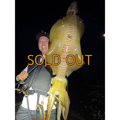 画像8: WILDCHASE 3.5号 /俺のGOLDパイソン/[特注:EGI MANIACS]