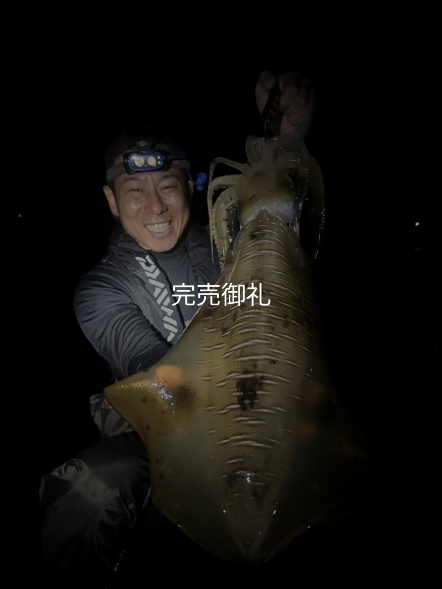 画像19: WILDCHASE 3.0号RTラトル /俺のGOLDパイソン/[特注:EGI MANIACS] (19)