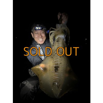 画像13: WILDCHASE 3.5号 /俺のGOLDパイソン/[特注:EGI MANIACS]