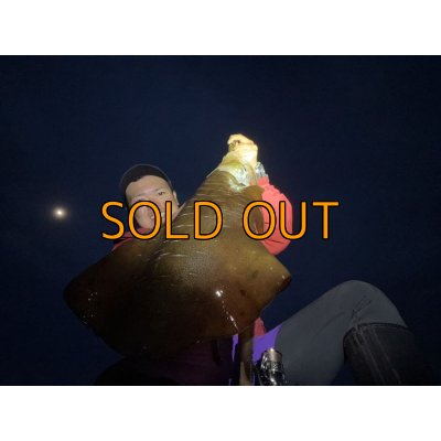 画像17: WILDCHASE 3.5号 /俺のGOLDパイソン/[特注:EGI MANIACS]