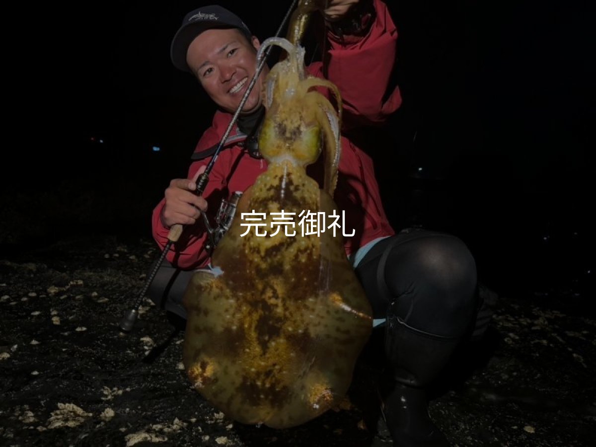 画像22: WILDCHASE 3.0号RTラトル /俺のGOLDパイソン/[特注:EGI MANIACS] (22)