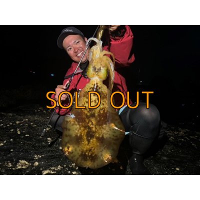 画像16: WILDCHASE 3.5号 /俺のGOLDパイソン/[特注:EGI MANIACS]