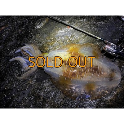 画像22: WILDCHASE 3.5号 /俺のGOLDパイソン/[特注:EGI MANIACS]