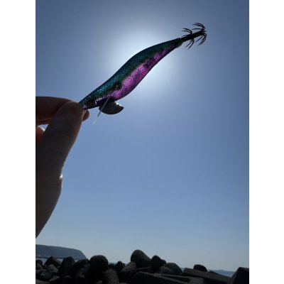 画像17: WILDCHASE 3.5号/ブルーパイソン/スポットGLOW[特注:EGI MANIACS]