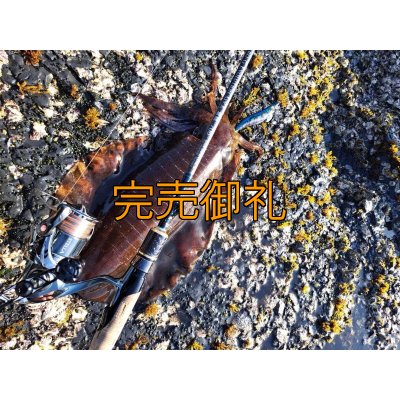 画像10: WILDCHASE 3.0号/ブルーパイソン/スポットGLOW[特注:EGI MANIACS]