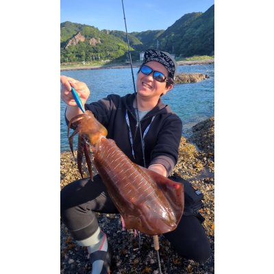 画像3: WILDCHASE 3.5号/ブルーパイソン/スポットGLOW[特注:EGI MANIACS]