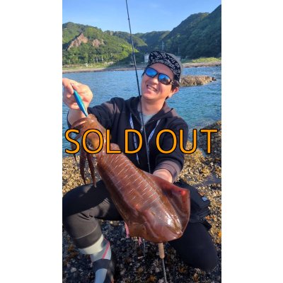 画像3: WILDCHASE 3.5号/ブルーパイソン/スポットGLOW[特注:EGI MANIACS]