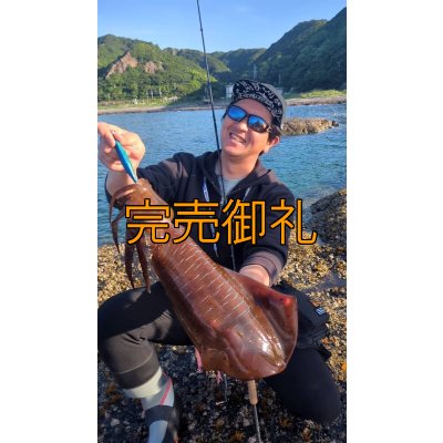 画像3: WILDCHASE 3.0号/ブルーパイソン/スポットGLOW[特注:EGI MANIACS]