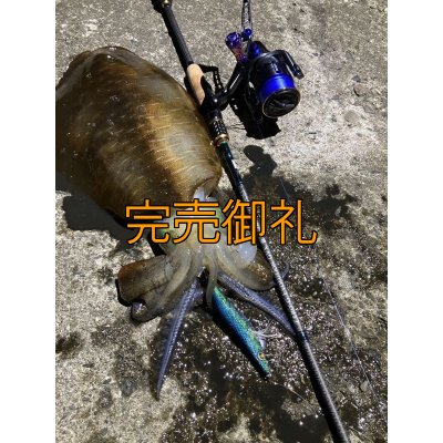 画像13: WILDCHASE 3.0号/ブルーパイソン/スポットGLOW[特注:EGI MANIACS]