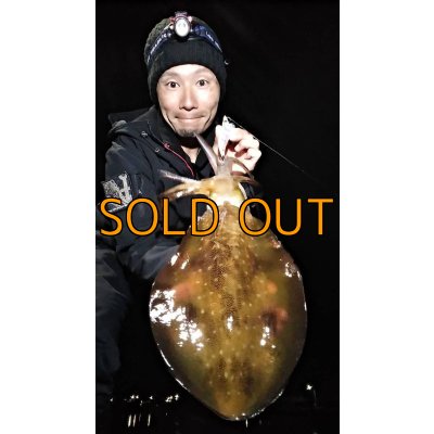 画像11: WILDCHASE 3.5号 /セナキスパイソン/UV[特注:EGI MANIACS]