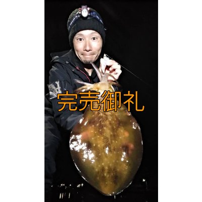 画像11: WILDCHASE 3.0号 /セナキスパイソン/UV[特注:EGI MANIACS]