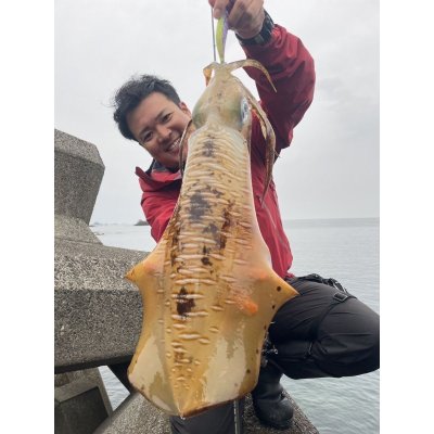 画像3: WILDCHASE 3.5号 /セナキスパイソン/UV[特注:EGI MANIACS]