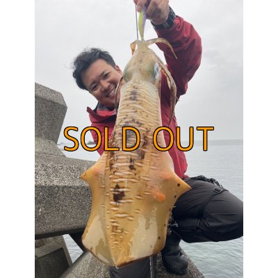 画像3: WILDCHASE 3.5号 /セナキスパイソン/UV[特注:EGI MANIACS]