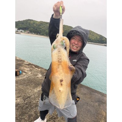 画像5: WILDCHASE 3.5号 /セナキスパイソン/UV[特注:EGI MANIACS]