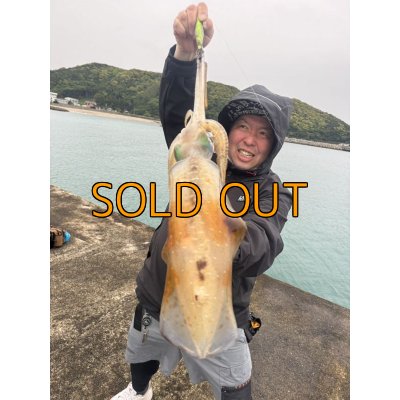 画像5: WILDCHASE 3.5号 /セナキスパイソン/UV[特注:EGI MANIACS]