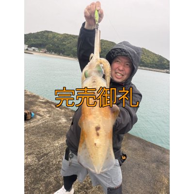 画像5: WILDCHASE 3.0号 /セナキスパイソン/UV[特注:EGI MANIACS]