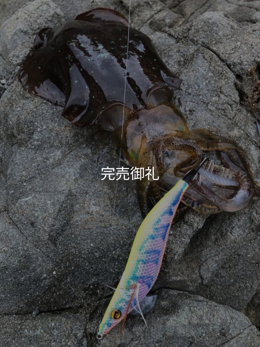 画像9: WILDCHASE 3.0号 /セナキスパイソン/UV[特注:EGI MANIACS] (9)