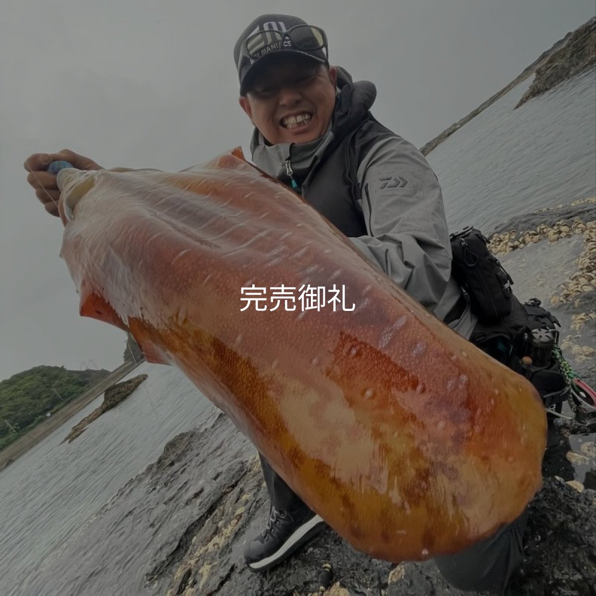 画像2: WILDCHASE 3.0号/ブルーパイソン/スポットGLOW[特注:EGI MANIACS] (2)