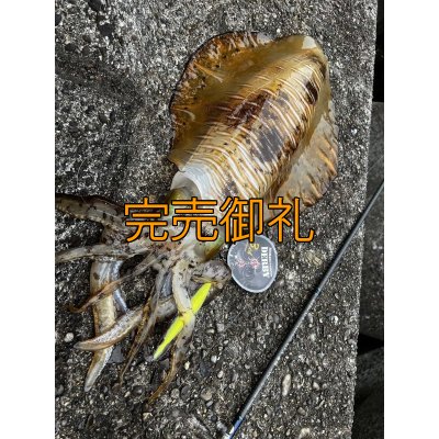 画像7: WILDCHASE 3.0号 /セナキスパイソン/UV[特注:EGI MANIACS]